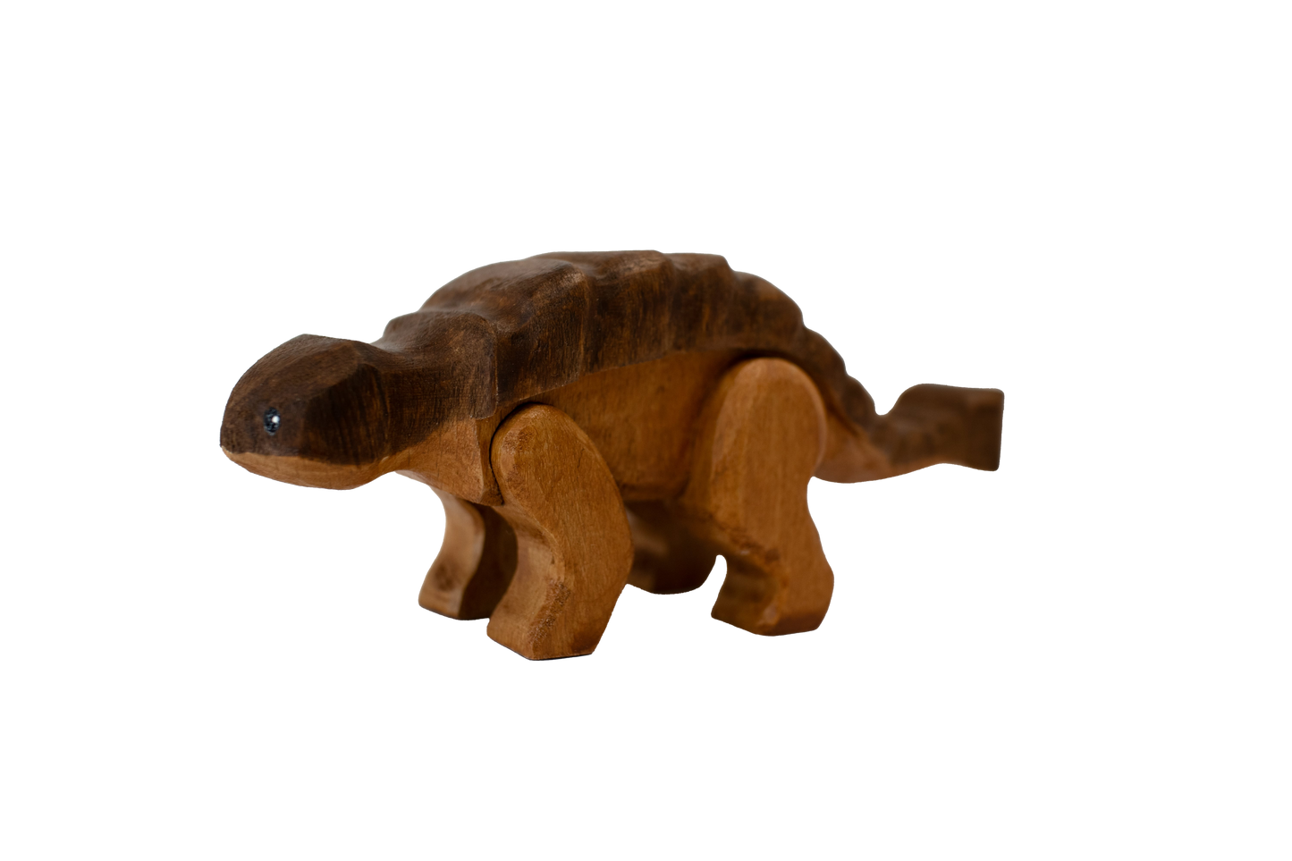 Andy the Ankylosaurus